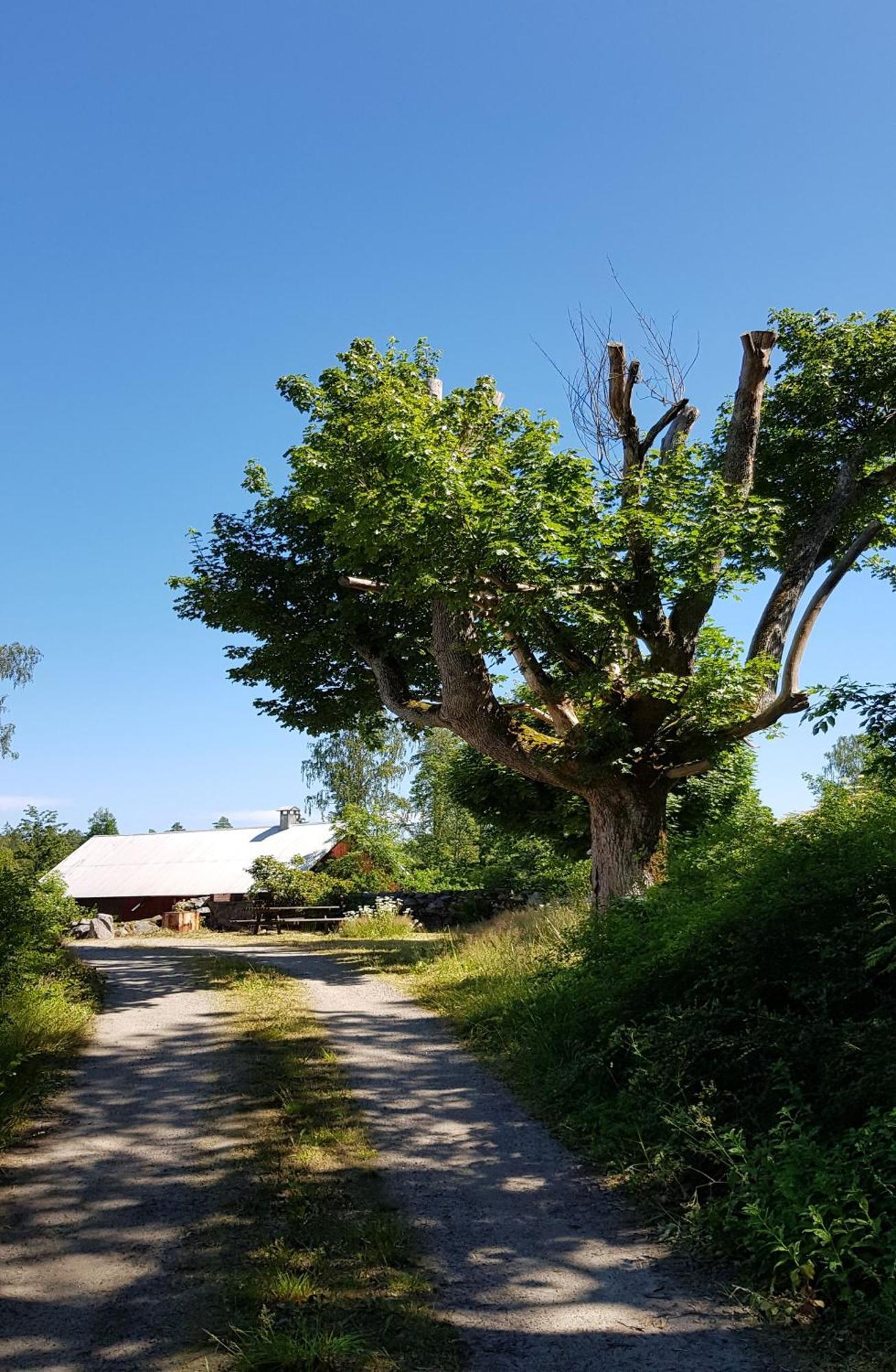 Stroenhult Farmhouse By The Lake Stronhult Εξωτερικό φωτογραφία